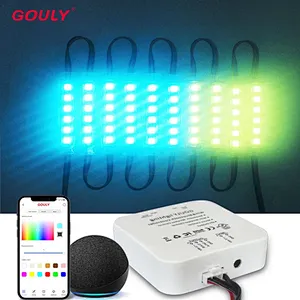 DC24V Intelligent Control Outdoor Waterproof RGB LED Module Light